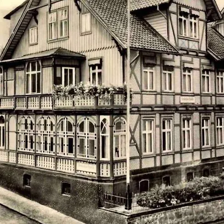 Apartment Schloesschen #innenstadt#garten#ruhige Lage Von Harztraveler