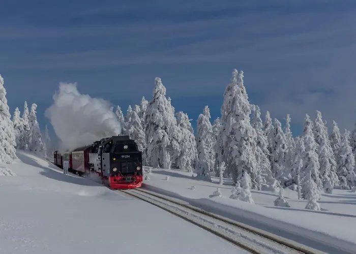 Schloesschen #innenstadt#garten#ruhige Lage Von Harztraveler